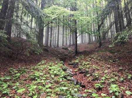 Hydrogeologický průzkum v okolí Studničního vrchu